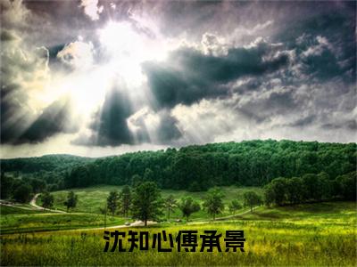 沈知心傅承景全文免费阅读_沈知心傅承景无弹窗最新章节