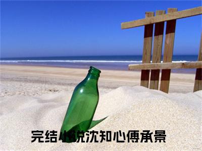 沈知心傅承景人气小说在线阅读,沈知心傅承景正版小说全文阅读