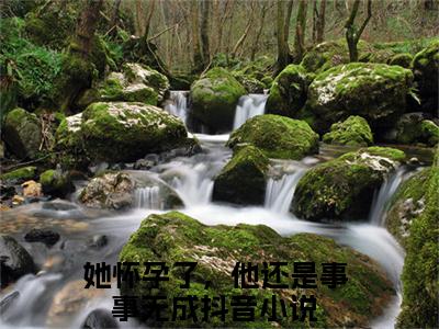 她怀孕了，他还是事事无成（顾渊沈朝夕）小说全文无删减版在线阅读_顾渊沈朝夕（她怀孕了，他还是事事无成无弹窗）_笔趣阁