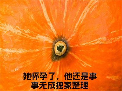 她怀孕了，他还是事事无成（顾渊沈朝夕最新全章节大结局）全文阅读-她怀孕了，他还是事事无成顾渊沈朝夕在线小说免费阅读