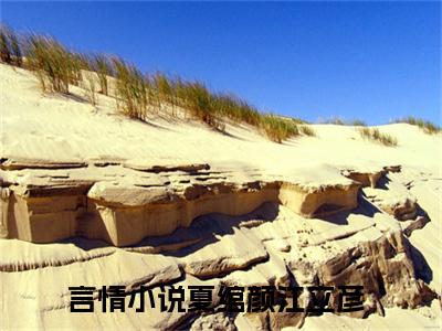 夏绾颜江立彦免费（夏绾颜江立彦）全文免费阅读无弹窗大结局_夏绾颜江立彦免费最新章节列表_笔趣阁