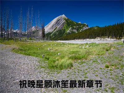 祝晚星顾沐笙（祝晚星顾沐笙全文免费）小说全文免费阅读无弹窗大结局_(祝晚星顾沐笙免费阅读）祝晚星顾沐笙最新章节列表_笔趣阁（祝晚星顾沐笙）