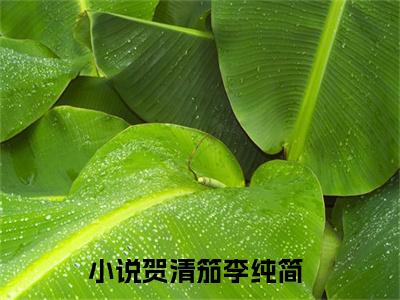 贺清笳李纯简全文免费在线阅读_（贺清笳李纯简全文免费阅读无弹窗大结局）贺清笳李纯简最新章节列表_笔趣阁