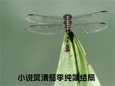 贺清笳李纯简全文免费阅读无弹窗大结局_贺清笳李纯简(贺清笳李纯简)小说结局免费阅读（贺清笳李纯简）