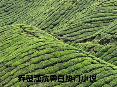 乔楚潇沈霁白全文免费阅读_（乔楚潇沈霁白免费阅读无弹窗）乔楚潇沈霁白最新章节在线阅读笔趣阁
