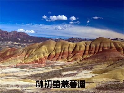 林初萤萧暮渊新上热文小说讲的是什么-林初萤萧暮渊全文完整版免费阅读