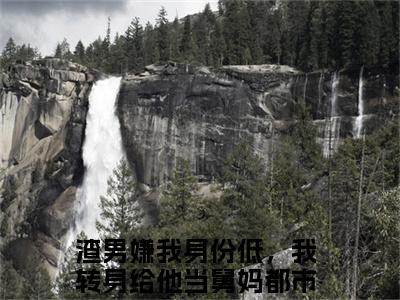 薄妄言楚念念满分热推小说 -渣男嫌我身份低，我转身给他当舅妈薄妄言楚念念小说全本已完结