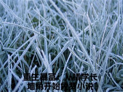 杨辰苏颜（重生暴富：从撬学长墙角开始小说）在线阅读全文-重生暴富：从撬学长墙角开始小说免费阅读完结版全文