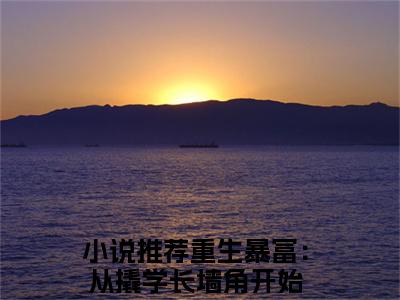 重生暴富：从撬学长墙角开始全文免费（杨辰苏颜）全文免费阅读无弹窗大结局_（重生暴富：从撬学长墙角开始全文免费）