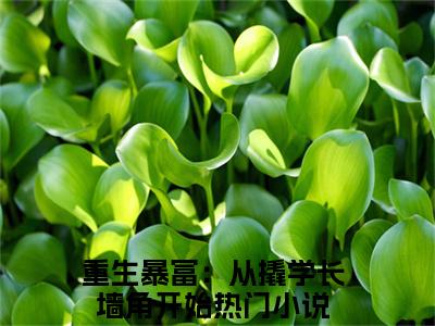 重生暴富：从撬学长墙角开始（杨辰苏颜）全文免费阅读无弹窗大结局_(杨辰苏颜小说免费阅读)_笔趣阁