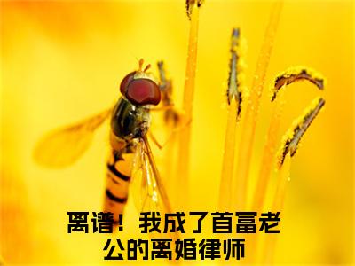陆辛夷司烨（离谱！我成了首富老公的离婚律师）全文免费阅读无弹窗大结局-陆辛夷司烨免费阅读全文大结局-笔趣阁