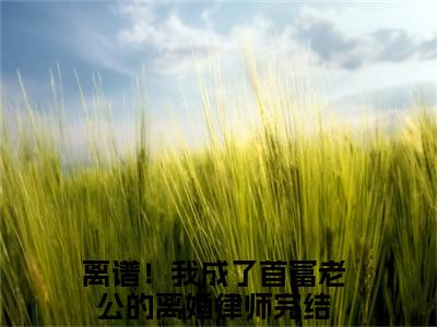 陆辛夷司烨免费阅读-（陆辛夷司烨）全文免费阅读无弹窗大结局（离谱！我成了首富老公的离婚律师）最新章节列表_笔趣阁