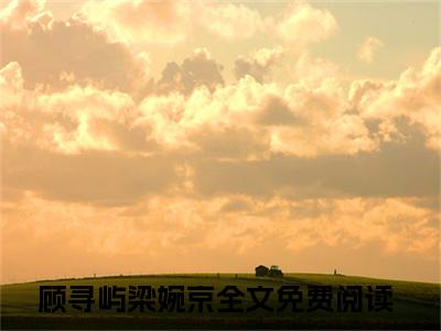 顾寻屿梁婉京在线阅读（顾寻屿梁婉京）全文无弹窗大结局_顾寻屿梁婉京全文在线阅读无弹窗