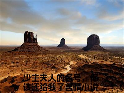 少主夫人的名号，你该还给我了小说大结局免费阅读-江瑶儿顾若岳抖音新上热文分享少主夫人的名号，你该还给我了