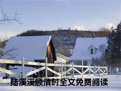 陆溪溪顾清时（陆溪溪顾清时）全文免费阅读无弹窗大结局_陆溪溪顾清时小说免费阅读陆溪溪顾清时最新章节列表_笔趣阁（陆溪溪顾清时）