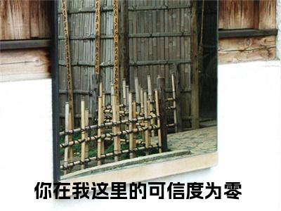 盛晏和柯雪小说（你在我这里的可信度为零）全文免费阅读无弹窗大结局_盛晏和柯雪全文免费完结版阅读（你在我这里的可信度为零）
