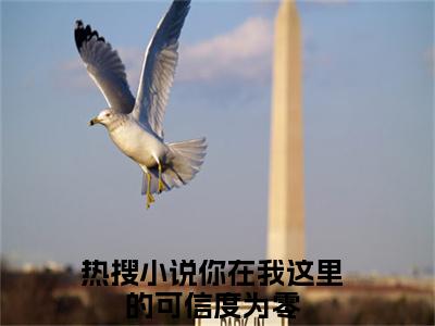 你在我这里的可信度为零（盛晏和柯雪）全文免费阅读无弹窗大结局_你在我这里的可信度为零最新章节列表_笔趣阁（盛晏和柯雪）