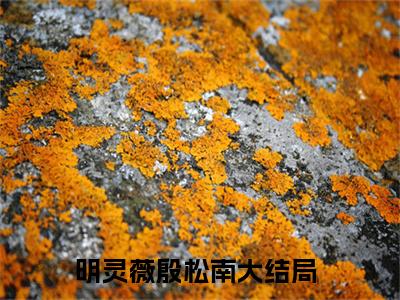 明灵薇殷松南免费小说 明灵薇殷松南在线阅读