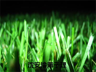 沈安渝薄子理全网首发小说-沈安渝薄子理无广告免费试读