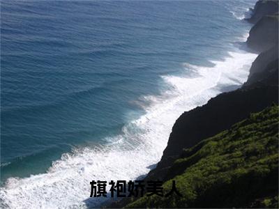 完整版《沈枝商鹤》全文阅读