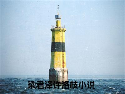 梁君泽许洛枝人气小说全本免费阅读