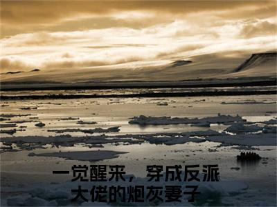 一觉醒来，穿成反派大佬的炮灰妻子（林泉漫叶秉钦）热推新书_林泉漫叶秉钦(一觉醒来，穿成反派大佬的炮灰妻子免费阅读)_笔趣阁