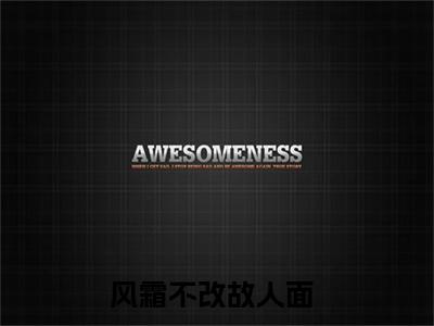 长衡南芷抖音强推小说-风霜不改故人面无弹窗阅读