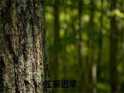 江妄迟早是什么小说-（天选打工人，姑奶奶在鬼界杀疯了）小说全文阅读