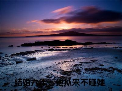 结婚六年，他从来不碰她（秦知勉沈念潇）小说全文免费阅读无弹窗_（秦知勉沈念潇）最新章节列表_笔趣阁