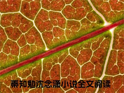 结婚六年，他从来不碰她小说讲的是什么-秦知勉沈念潇精彩章节目录观看