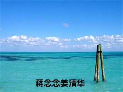蒋念念姜清华新上热文小说讲的是什么-蒋念念姜清华免费阅读