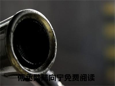 主角为傅丞勋陆向宁的小说叫什么-傅丞勋陆向宁全文阅读