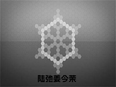 陆弛姜今茉良心推荐小说 陆弛姜今茉全文完整版免费阅读