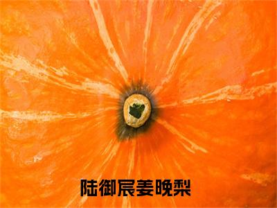 免费阅读全文陆御宸姜晚梨小说结局在线阅读 陆御宸姜晚梨章节目录