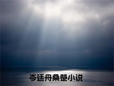 岑廷舟桑楚未删节全本免费阅读