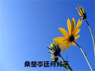 (热推新书)桑楚岑廷舟小说在线分享-（桑楚岑廷舟）小说全文免费阅读_桑楚岑廷舟最新章节列表_笔趣阁