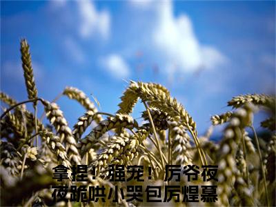 男女主人公厉煌慕璃小说拿捏！强宠！厉爷夜夜跪哄小哭包全文免费阅读