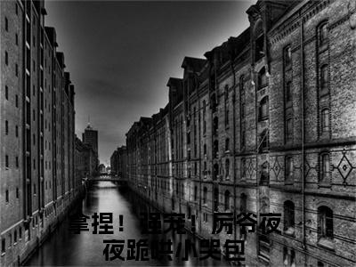 拿捏！强宠！厉爷夜夜跪哄小哭包小说全文无删减-拿捏！强宠！厉爷夜夜跪哄小哭包小说大结局免费阅读