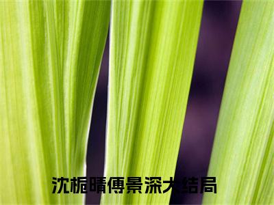 沈栀晴傅景深小说最新章节阅读 沈栀晴傅景深完结新上热文