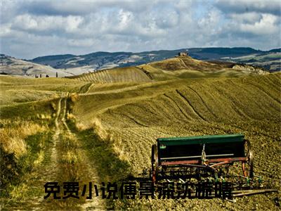 小说名字是：傅景深沈栀晴小说免费阅读无弹窗,小说名字是：傅景深沈栀晴的小说在线阅读无删减