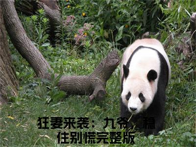 小说傅聿城何以安在线阅读大结局 狂妻来袭：九爷，稳住别慌今日已更新