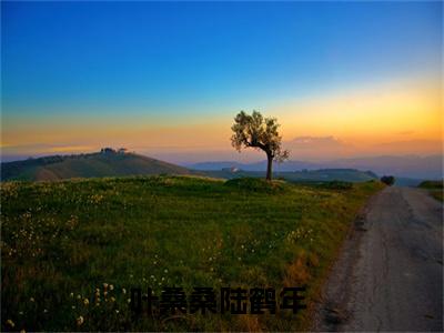 (抖音小说)叶桑桑陆鹤年小说全文阅读免费