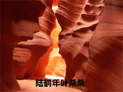 陆鹤年叶桑桑正版小说最新章节在线阅读-陆鹤年叶桑桑老书虫推荐