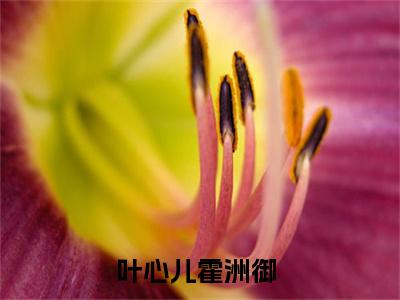 霍九爷的小宝贝知乎美文欣赏完整版，叶心儿霍洲御精彩章节在线阅读