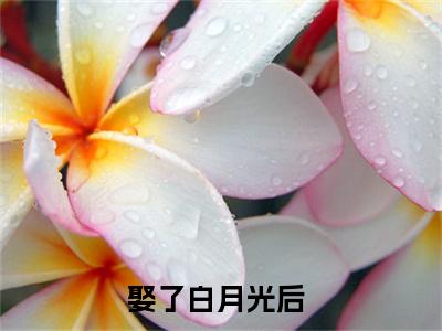 苏晴谢凛（娶了白月光后,渣男前夫他后悔了）全文在线免费阅读无弹窗_苏晴谢凛最新章节列表_笔趣阁