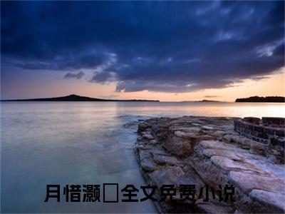 月惜灏璟小说只愿君心似我心无弹窗免费阅读-最新小说月惜灏璟(只愿君心似我心)全文阅读
