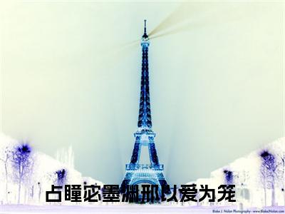 占瞳宓墨渊邢免费阅读（以爱为笼）完整版全文全章节阅读