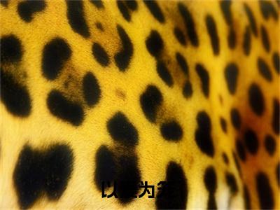 以爱为笼小说（墨渊邢占瞳宓)全文免费阅读无弹窗大结局_以爱为笼完整版最新阅读_笔趣阁（墨渊邢占瞳宓）