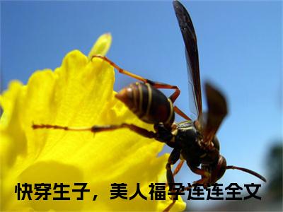 （热推新书）《纪云欢》快穿生子，美人福孕连连-热推快穿生子，美人福孕连连无弹窗阅读纪云欢在线阅读