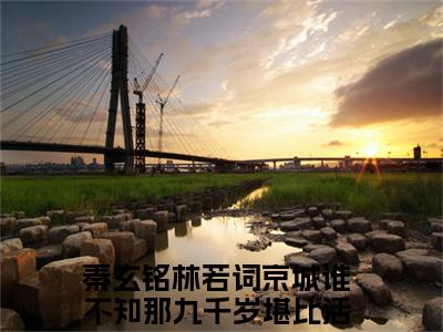 京城谁不知那九千岁堪比活阎罗全文免费阅读（秦玄铭林若词）全文免费阅读大结局_京城谁不知那九千岁堪比活阎罗全文免费阅读无弹窗_笔趣阁（秦玄铭林若词）